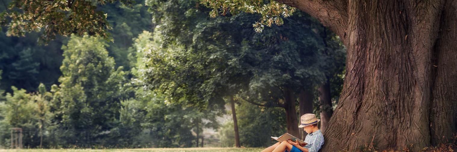 Bäume für die Ewigkeit kleiner Junge sitzt unter großer Eiche