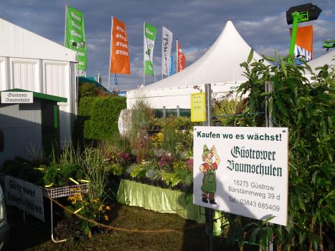 Güstrower Baumschulen auf der Mela